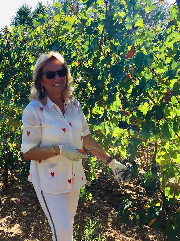 Silvia Cirri nella vigna raccoglie grappoli di uva