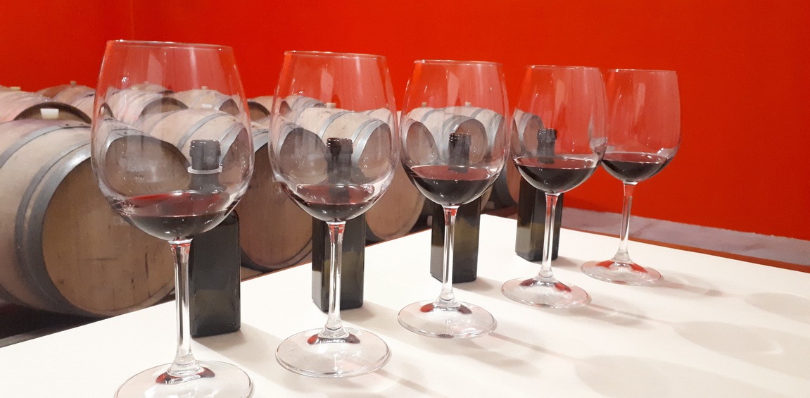 Die Weinverkostung des neuen Agapanto 2018 im Weinkeller